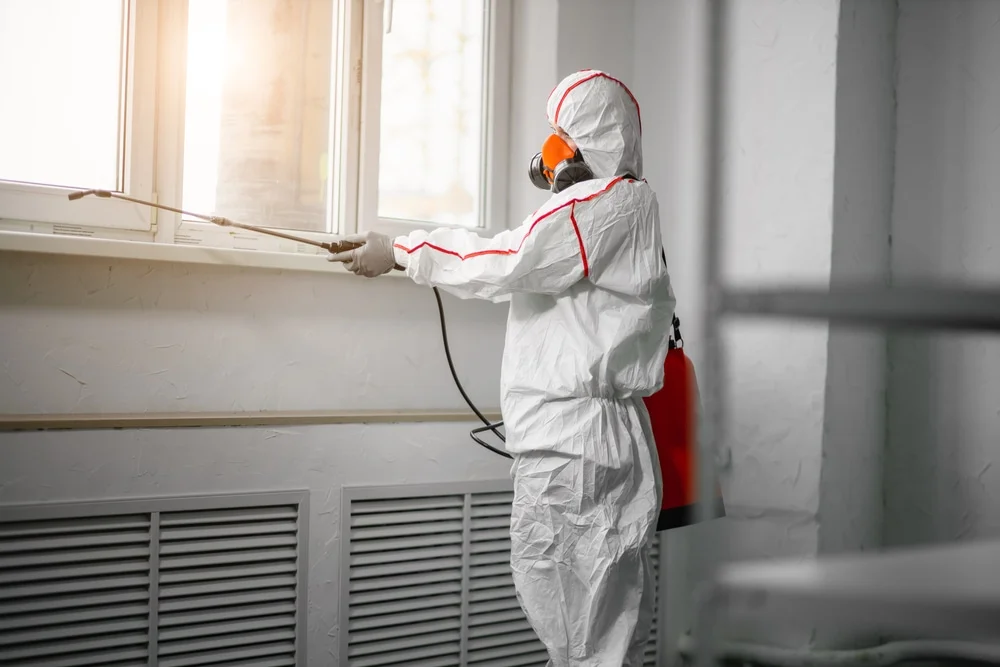 Professional mold remediation services in Biddeford Pool, ME